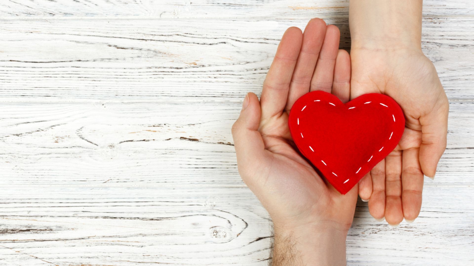 Humanidad compartida: reconociendo lo que nos une